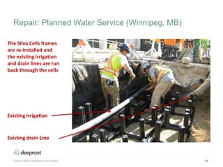 54
The Silva Cells frames
are re-installed and
the existing irrigation
and drain lines are run
back through the cells
Existing irrigation
Existing drain Line
Repair: Planned Water Service (Winnipeg, MB)
Future utility installations and repairs
 