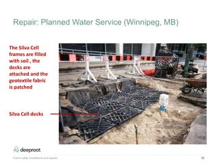 55
The Silva Cell
frames are filled
with soil , the
decks are
attached and the
geotextile fabric
is patched
Silva Cell decks
Future utility installations and repairs
Repair: Planned Water Service (Winnipeg, MB)
 