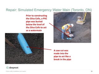 58
Prior to constructing
the Silva Cells, a PVC
pipe was buried
below the level of
the Silva Cells to act
as a watermain
A saw cut was
made into the
pipe to act like a
break in the pipe
Repair: Simulated Emergency Water Main (Toronto, ON)
Future utility installations and repairs
 
