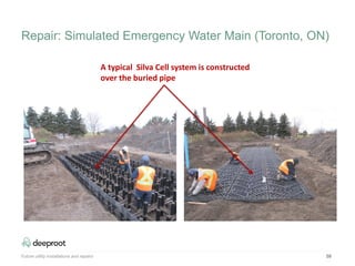 59
A typical Silva Cell system is constructed
over the buried pipe
Future utility installations and repairs
Repair: Simulated Emergency Water Main (Toronto, ON)
 