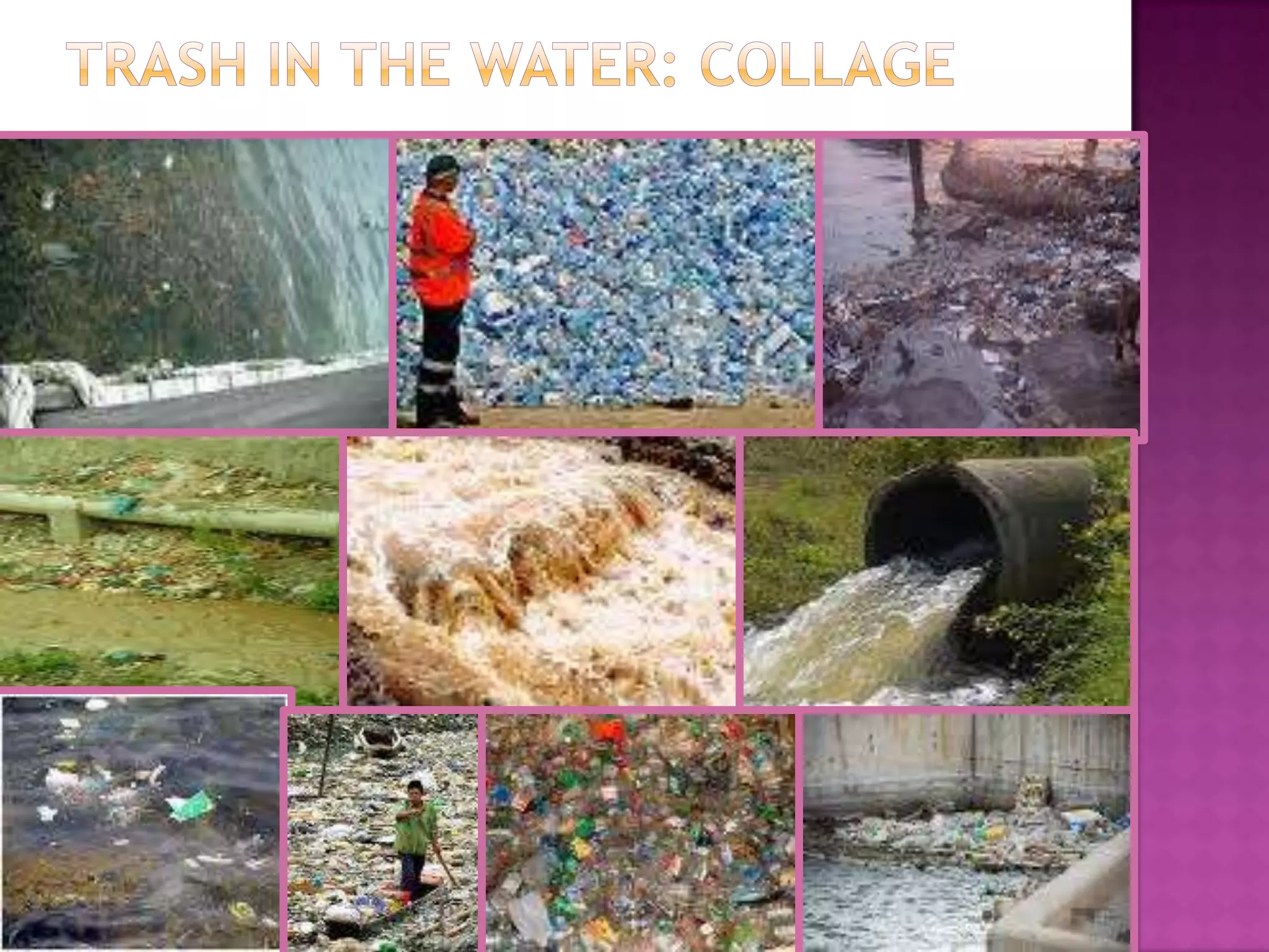 Countries helpingAustralia: Australian Marine Conservation SocietyNew Zeland: Royal Forest and Bird Protection SocietySub-Antartic Islands: SubAntartic.comUnited Kingdom: Marine Conservation SocietyUnited States: Aquatic NetworkBlue Ocean SocietyBlue Water Network Earth-Justice OceansREF: marinebio.org