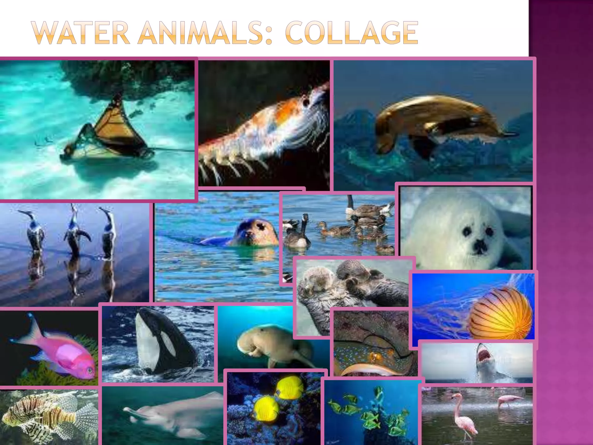 Bar graph on Water pollution 1%