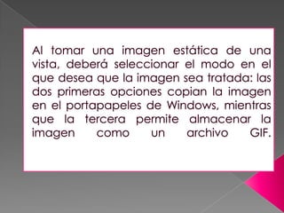 Copiar un intervalo de tiempo que especifique o que este mostrando en la pantalla.Al tomar una imagen estática de una vista, deberá seleccionar el modo en el que desea que la imagen sea tratada: las dos primeras opciones copian la imagen en el portapapeles de Windows, mientras que la tercera permite almacenar la imagen como un archivo GIF.