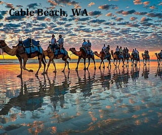 Cable Beach, WA
 