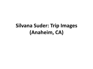Silvana Suder: Trip Images
(Anaheim, CA)
 
