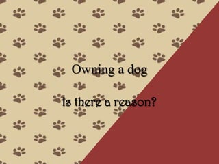 Owning a dog

Is there a reason?
 