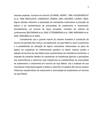 9




diversas espécies, inclusive em bovinos (CLARKE; HENRY, 1999; HOUSEKNECHT
et al, 1998; MÁCAJOVÁ; LAMOSOVA; ZEMAN, 2004; NEGRÃO; LICINIO, 2000).
Alguns estudos indicaram a associação de marcadores moleculares à produção da
leptina e às características de precocidade de acabamento e crescimento,
principalmente, em bovinos de raças européias, mantidos em sistema de
confinamento (BUCHANAN et al, 2002; FITZSIMMONS et al, 1998; NKRUMAH et al,
2004; NKRUMAH et al, 2005).
      Considerando que a grande maioria do rebanho brasileiro é constituído de
bovinos de genótipo Bos indicus, principalmente, da raça Nelore e seus cruzamentos
e a possibilidade de utilização de alguns marcadores relacionados ao gene da
leptina em programas de melhoramento genético no Brasil, visando auxiliar a
seleção de bovinos da raça Nelore para características de importância econômica, a
proposta do presente trabalho foi caracterizar as freqüências gênicas e genotípicas
dos polimorfismos e relacionar suas freqüências às características de precocidade
de acabamento e crescimento em bovinos da raça Nelore, sob a hipótese de que
marcadores moleculares ligados à leptina e descritos na espécie Bos taurus possam
influenciar características de crescimento e precocidade de acabamento em bovinos
da raça Nelore.
 