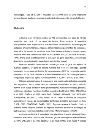13




mensuração. Gao et al. (2007) ressaltam que a SAM deve ser uma importante
ferramenta para auxiliar as técnicas de seleção tradicionais e não para substituí-las.




2.3. Leptina




      A leptina é um hormônio protéico de 162 aminoácidos com peso de 16 kDa
produzida pelo gene ob ou gene da leptina. Essa proteína é produzida
principalmente pelos adipócitos e a sua descoberta se deu devido às investigações
realizadas em camundongos, utilizados como modelos experimentais de obesidade,
numa série de estudos de parabiose entre duas linhagens de camundongos, porém
a leptina ainda era chamada de fator ob (COLEMAN, 1973; COLEMAN; HUMMEL,
1973). Zhang et al. (1994) relataram a clonagem do gene deste fator, denominado
de proteína ob ou leptina (do grego leptos que significa magro).
      Diversos estudos demonstraram homologia entre o gene da leptina de
diversas espécies. O gene da leptina humana tem 84% de homologia quando
comparado com o gene da leptina de camundongos e 83% de homologia quando
comparado ao de ratos. Bovinos e suínos apresentam 85% de homologia quando
comparados ao gene da leptina humano (DOYON et al, 2001; ZHANG et al, 1994).
      O tecido adiposo branco é responsável pela maior parte da leptina produzida
pelo organismo, sendo sintetizada em menores quantidades no tecido adiposo
marrom e em outros tecidos do trato gastrointestinal, músculo esquelético, placenta,
epitélio das glândulas mamárias, hipófise e cérebro (BADO et al, 1998; CASABIELL
et al, 1997; CINTI et al, 1997; MASUZAKI; OGAWA; SAGAWA, 1997; MORASH;
JOHNSTONE; LEOPOLD, 2000; WANG et al, 1998). Conforme os adipócitos
aumentam em massa, as concentrações periféricas de leptina aumentam (AHIMA;
FLIER, 2000; CONSIDINE; CARO, 1997). Segundo Auwerx e Staels (1998), o
aumento ocorre porque o tamanho do adipócito influencia a síntese e a secreção da
leptina, pois os maiores adipócitos contém mais RNA mensageiro (mRNA).
      A síntese da leptina é estimulada pela obesidade, insulina, glicocorticóides,
processos infecciosos, endotoxinas, citocinas, glicose e estrogénos (GRUNFELD et
al, 1996; SALADIN et al, 1995; SLIEKER et al, 1996; WANG et al, 1998). A síntese
 