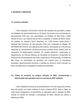 27




5. MATERIAL E MÉTODOS




5.1. Animais avaliados




      Foram utilizados 2.162 bovinos machos não castrados da raça Nelore, criados
em pastagem até aproximadamente os 18 meses. Os animais eram provenientes da
Agro-pecuária CFM Ltda, com propriedades nos Estados de São Paulo e Mato
Grosso do Sul, e da Fazenda Mundo Novo, localizada no Estado de Minas Gerais.
As medidas de ultra-som foram realizadas em 1.856 animais pertencentes à
Fazenda São Francisco, da Agro-pecuária CFM Ltda, localizada em Magda, SP
(20º38'38"S 50º13'34"W, com altitude de 526 metros). Informações de 2.162 animais
referentes às características de desenvolvimento ponderal foram obtidos junto ao
Laboratório de Melhoramento Genético “Dr. Gordon Dickerson”, pertencente ao
Departamento de Ciências Básicas da Faculdade de Zootecnia e Engenharia de
Alimentos da Universidade de São Paulo, localizado em Pirassununga, no Estado de
São Paulo. As informações de genótipos dos animais para os marcadores
estudados, desenvolvimento ponderal e medidas de ultra-som foram incluídas em
banco de dados para a realização da análise dos resultados.




5.2. Coleta de amostras de sangue, extração de DNA, caracterização e
     determinação dos genótipos para os marcadores SNP avaliados




      Foram coletadas amostras de aproximadamente 10 ml de sangue dos animais
pela veia jugular com tubos coletores a vácuo contendo EDTA. Após a coleta, os
tubos foram refrigerados e encaminhados ao laboratório para a extração de DNA,
através do método de extração e precipitação de NaCl, descrito por Olerup e
Zetterquist (1992).
 