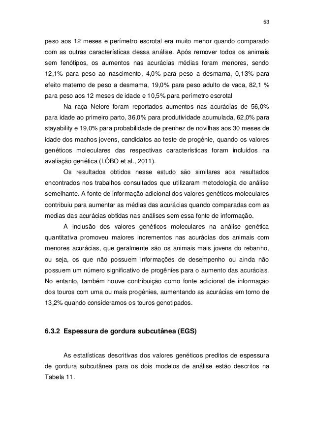 Hatchet book summary image