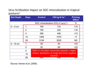 Urea fertilization impact on SOC mineralization in tropical
pastures1
Soil Depth Days Control 150 kg N ha-1 Priming
Effect
SOC mineralization (CO2-C µg g-1) %
0 – 5 cm 1 106 116 +10
2 195 225 +16
4 396 446 +13
14 1469 1570 +7
28 3136 3225 NS
5 - 10 cm 1 28 40 +43
2 55 69 +25
4 149 170 +14
14 335 372 +11
28 595 658 NS
1Source: Hamer et al. (2009).
Shifts in microbial community towards a higher
relative abundance of fungi and Gram-negative
bacteria
 