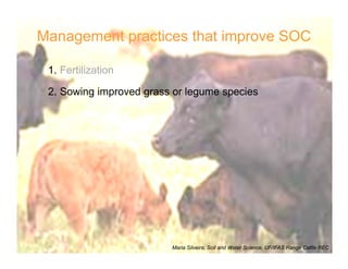 Management practices that improve SOC
1. Fertilization
2. Sowing improved grass or legume species
Maria Silveira, Soil and Water Science, UF/IFAS Range Cattle REC
 