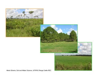 Maria Silveira, Soil and Water Science, UF/IFAS Range Cattle REC
 