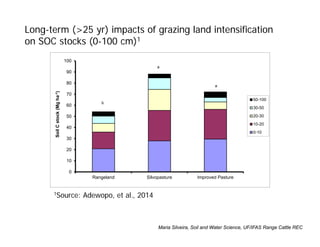 0
10
20
30
40
50
60
70
80
90
100
Rangeland Silvopasture Improved Pasture
SoilCstock(Mgha-1)
50-100
30-50
20-30
10-20
0-10
b
a
a
Long-term (>25 yr) impacts of grazing land intensification
on SOC stocks (0-100 cm)1
Maria Silveira, Soil and Water Science, UF/IFAS Range Cattle REC
1Source: Adewopo, et al., 2014
Maria Silveira, Soil and Water Science, UF/IFAS Range Cattle REC
 