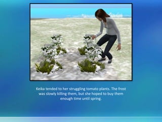 Keika tended to her struggling tomato plants. The frost
was slowly killing them, but she hoped to buy them
enough time until spring.
 