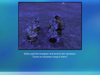 Keika used the energizer and tend to her tomatoes.
“Come on tomatoes hang in there.”
 