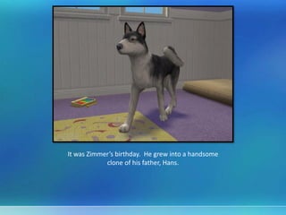 It was Zimmer’s birthday. He grew into a handsome
clone of his father, Hans.
 