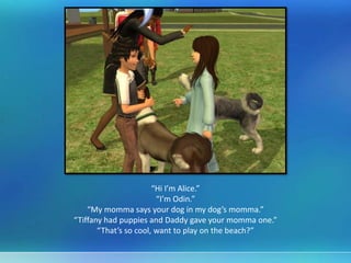“Hi I’m Alice.”
“I’m Odin.”
“My momma says your dog in my dog’s momma.”
“Tiffany had puppies and Daddy gave your momma one.”
“That’s so cool, want to play on the beach?”
 