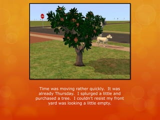 Time was moving rather quickly. It was
already Thursday. I splurged a little and
purchased a tree. I couldn’t resist my front
yard was looking a little empty.
 