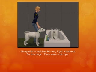 Along with a real bed for me, I got a bathtub
for the dogs. They were a bit ripe.
 