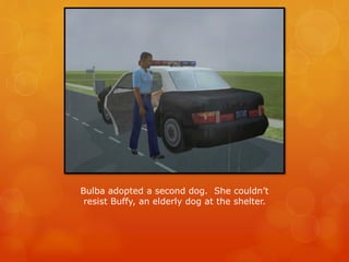 Bulba adopted a second dog. She couldn’t
resist Buffy, an elderly dog at the shelter.
 