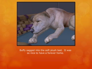Buffy sagged into the soft plush bed. It was
so nice to have a forever home.
 
