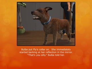 Bulba put Fly’s collar on. She immediately
started barking at her reflection in the mirror.
“That’s you silly.” Bulba told her.
 