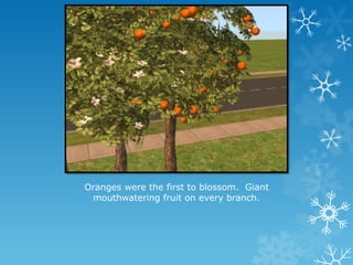 Oranges were the first to blossom. Giant
mouthwatering fruit on every branch.
 