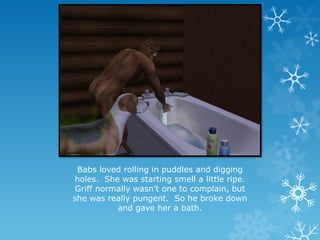 Babs loved rolling in puddles and digging
holes. She was starting smell a little ripe.
Griff normally wasn’t one to complain, but
she was really pungent. So he broke down
and gave her a bath.
 