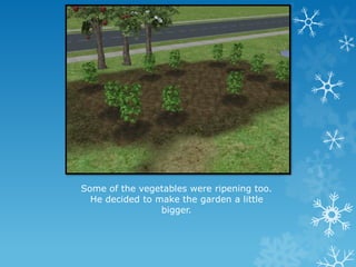 Some of the vegetables were ripening too.
He decided to make the garden a little
bigger.
 