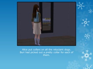 Alice put collars on all the reluctant dogs.
Buri had picked out a pretty collar for each of
them.
 