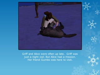 Griff and Alice were often up late. Griff was
just a night owl. But Alice had a mission.
Her friend Gumbo was here to visit.
 