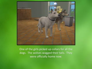 One of the girls picked up collars for all the
dogs. The wolves wagged their tails. They
were officially home now.
 