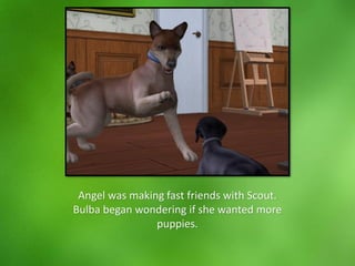 Angel was making fast friends with Scout.
Bulba began wondering if she wanted more
puppies.
 