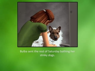 Bulba sent the rest of Saturday bathing her
stinky dogs.
 