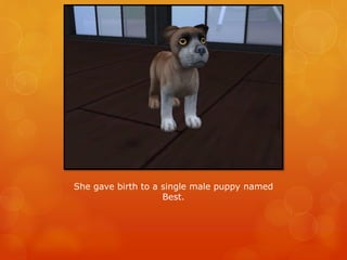 She gave birth to a single male puppy named
Best.
 