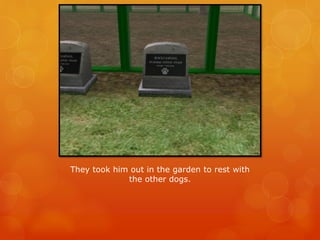 They took him out in the garden to rest with
the other dogs.
 