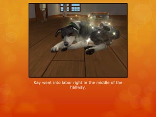 Kay went into labor right in the middle of the
hallway.
 