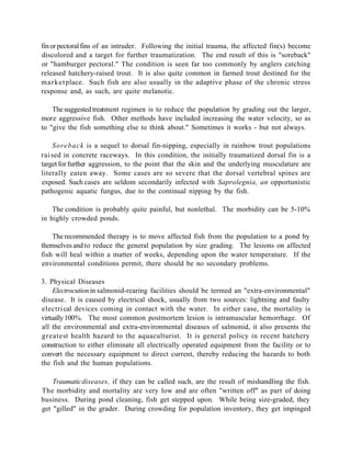 fin or pectoral fins of an intruder. Following the initial trauma, the affected fin(s) become
discolored and a target for further traumatization. The end result of this is "soreback"
or "hamburger pectoral." The condition is seen far too commonly by anglers catching
released hatchery-raised trout. It is also quite common in farmed trout destined for the
market place. Such fish are also usually in the adaptive phase of the chronic stress
response and, as such, are quite melanotic.

    The suggested treatment regimen is to reduce the population by grading out the larger,
more aggressive fish. Other methods have included increasing the water velocity, so as
to "give the fish something else to think about." Sometimes it works - but not always.

    Soreback is a sequel to dorsal fin-nipping, especially in rainbow trout populations
rai sed in concrete raceways. In this condition, the initially traumatized dorsal fin is a
target for further aggression, to the point that the skin and the underlying musculature are
literally eaten away. Some cases are so severe that the dorsal vertebral spines are
exposed. Such cases are seldom secondarily infected with Saprolegnia, an opportunistic
pathogenic aquatic fungus, due to the continual nipping by the fish.

    The condition is probably quite painful, but nonlethal. The morbidity can be 5-10%
in highly crowded ponds.

    The recommended therapy is to move affected fish from the population to a pond by
themselves and to reduce the general population by size grading. The lesions on affected
fish will heal within a matter of weeks, depending upon the water temperature. If the
environmental conditions permit, there should be no secondary problems.

3. Physical Diseases
     Electrocution in salmonid-rearing facilities should be termed an "extra-environmental"
disease. It is caused by electrical shock, usually from two sources: lightning and faulty
electri cal devices coming in contact with the water. In either case, the mortality is
virtually 100%. The most common postmortem lesion is intramuscular hemorrhage. Of
all the environmental and extra-environmental diseases of salmonid, it also presents the
greatest health hazard to the aquaculturist. It is general policy in recent hatchery
construction to either eliminate all electrically operated equipment from the facility or to
convert the necessary equipment to direct current, thereby reducing the hazards to both
the fish and the human populations.

    Traumatic diseases, if they can be called such, are the result of mishandling the fish.
The morbidity and mortality are very low and are often "written off" as part of doing
business. During pond cleaning, fish get stepped upon. While being size-graded, they
get "gilled" in the grader. During crowding for population inventory, they get impinged
 