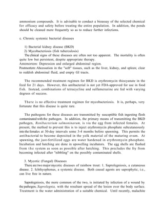 ammonium compounds. It is advisable to conduct a bioassay of the selected chemical
for efficacy and safety before treating the entire population. In addition, the ponds
should be cleaned more frequently so as to reduce further infections.

c. Chronic systemic bacterial diseases

    1) Bacterial kidney disease (BKD)
    2) Mycobacteriosis (fish tuberculosis)
    The clinical signs of these diseases are often not too apparent. The mortality is often
quite low but persistent, despite appropriate therapy.
Antemortem: Depression and enlarged abdominal region.
Postmortem: Abcessation in the "soft" tissues, such as the liver, kidney, and spleen; clear
to reddish abdominal fluid, and empty GI tracts.

     The recommended treatment regimen for BKD is erythromycin thiocyanate in the
feed for 21 days. However, this antibacterial is not yet FDA-approved for use in food
fi sh. Instead, combinations of tetracycline and sulfamerazine are fed with varying
degrees of success.

    T h e r e i s no effective treatment regimen for mycobacteriosis. It is, perhaps, very
fortunate that this disease is quite rare.

      The pathogens for these diseases are transmitted by susceptible fish ingesting flesh
contaminated with the pathogen. In addition, the primary means of transmitting the BKD
pathogen, Renibacterium salmoninarum, is via the egg from infected females. At
present, the method to prevent this is to inject erythromycin phosphate subcutaneously
into the females at 30-day intervals some 3-4 months before spawning. This permits the
antibacterial to become deposited in the yolk material of the maturing ovum. At
spawning, the just-fertilized eggs are water hardened in erythromycin phosphate.
Incubation and hatching are done in upswelling incubators. The egg shells are flushed
f r o m t h e system as soon as possible after hatching. This precludes the fry from
becoming infected after "nibbling" on the possibly contaminated shells.

    3. Mycotic (Fungal) Diseases
    There are two major mycotic diseases of rainbow trout: 1. Saprolegniosis, a cutaneous
disease. 2. Ichthyophonus, a systemic disease. Both causal agents are saprophytic, i.e.,
can live free in nature.

    Saprolegniosis, the more common of the two, is initiated by infection of a wound by
the pathogen, Saprolegnia, with the resultant spread of the lesion over the body surface.
Treatment is the water administration of a suitable chemical. Until recently, malachite
 