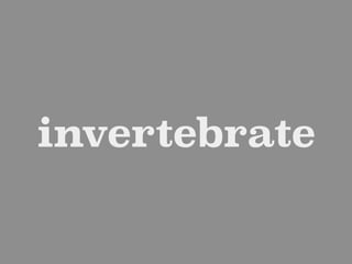 invertebrate
 