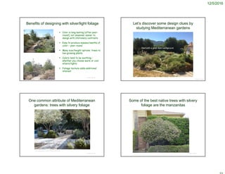 12/5/2016
Benefits of designing with silver/light foliage
 Color is long-lasting (often year-
round), not seasonal; easier to
design with stationary contrasts
 Easy to produce masses/swaths of
color – year-round
 Many size/height options: trees to
low-growing plants
 Colors tend to be soothing –
whether you choose warm or cool
silvers/lights
 Foliage texture adds additional
interest
© Project SOUND
Let’s discover some design clues by
studying Mediterranean gardens
© Project SOUND
Start with a good dark background
One common attribute of Mediterranean
gardens: trees with silvery foliage
© Project SOUND
https://www.pinterest.com/pin/212865519863542396/
Some of the best native trees with silvery
foliage are the manzanitas
© Project SOUND
 