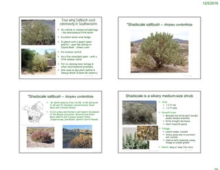 12/5/2016
© Project SOUND
Four-wing Saltbush used
extensively in Southwestern
 As a shrub in commercial plantings
– low maintenance/little water
 Excellent water-wise hedge
 In plants with a desert plant
palette – used like Salvias or
Coyote Bush - silvery color
 For erosion control
 As a fire-retardant plant – with a
little summer water
 For re-claiming mine tailings &
other environmental problems
 Also used as dye plant (yellow &
‘Navajo Black’ & medicine (emetic)
http://biology.burke.washington.edu/herbarium/imagecollection.php?Genus=Atriplex&Species=canescens
http://www.delange.org/FourwingSaltbush/FourwingSaltbush.htm © Project SOUND
*Shadscale saltbush – Atriplex confertifolia
Gary A. Monroe, hosted by the USDA-NRCS PLANTS Database
 W. North America from CA/OR to ND and south
to AZ and TX. Greatest concentrations: Great
Basin and Colorado Plateau
 In CA, widely distributed in salt-desert shrublands
of the Mojave (Lancaster; Barstow) and Great
Basin deserts and in pinyon-juniper (Pinus-
Juniperus spp.) woodlands, eastern Sierra Nevada
© Project SOUND
*Shadscale saltbush – Atriplex confertifolia
©2009 James M. Andre
http://www.efloras.org/florataxon.aspx?flora_id=1&taxon_id=242415596
https://plantsofthesouthwest.com/collections/trees-shrubs
© Project SOUND
Shadscale is a silvery medium-size shrub
 Size:
 1-3 ft tall
 1-3 ft wide
 Growth form:
 Mounded sub-shrub (part-woody);
usually densely branched
 Partly drought-deciduous
 Short-lived (10 years)
 Foliage:
 Leaves simple, rounded
 Silvery green due to excreted
salt crystals
 Used as salty seasoning; young
foliage as cooked greens
 Roots: deep w/ many fine roots
©2012 Jean Pawek
©2012 Neal Kramer
©2015 Steve Matson
 