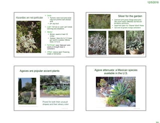 12/5/2016
© Project SOUND
Hazardias are not particular
 Soils:
 Texture: most local soils (even
clay) but prefers well-drained
soils
 pH: any local
 Light: full sun on coast; part-shade
(morning sun) elsewhere.
 Water:
 Winter: needs at least 10
inches
 Summer: Semi-dry to 1-2 times
per month in summer (Water
Zone 1-2 to 2)
 Fertilizer: none; likes poor soils;
yearly ½ strength dose in
containers
 Other: remove spent flowering
stalks in fall/winter©2014 Steve Matson
© Project SOUND
Silver for the garden
 Contrast with green foliage associates
like Laurel sumac (Malosma laurina) and
Brickellia californica
 Important plant for ‘Channel island’ theme
 Can even be grown in large containers
©2015 Robert Sikora
http://farm6.static.flickr.com/5285/5314495162_f70a9bcbd9.jpg
Agaves are popular accent plants
© Project SOUND
https://www.pinterest.com/explore/mediterranean-garden/
http://www.bevbeverly.com/agave-garden-design.shtml
Prized for both their unusual
shapes and their silvery color
© Project SOUND
Agave attenuata: a Mexican species
available in the U.S.
http://www.geographylists.com/sandiegoplants.html http://www.cactusjungle.com/blog/2008/09/30/berkeley-succulent-garden-3/
 