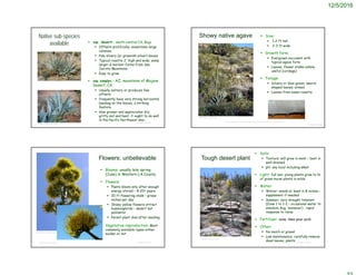 12/5/2016
Native sub-species
available  ssp. deserti - south-central CA, Baja
 Offsets prolifically; sometimes large
colonies.
 Pale silvery (or greenish-silver) leaves
 Typical rosette 2' high and wide; some
larger & hardier forms from San
Jacinto Mountains
 Easy to grow
 ssp. simplex – AZ, mountains of Mojave
Desert, CA
 Usually solitary or produces few
offsets
 frequently have very strong horizontal
banding on the leaves, a striking
feature.
 slow grower and appreciates dry,
gritty soil and heat. it ought to do well
in the Pacific Northwest also.
© Project SOUND
©2007 Charles E. Jones © Project SOUND
Showy native agave  Size:
 1-2 ft tall
 2-3 ft wide
 Growth form:
 Evergreen succulent with
typical agave form
 Leaves, flower stalks edible,
useful (cordage)
 Foliage:
 Silvery or blue-green, sword-
shaped leaves; armed
 Leaves from basal rosette
©2005 Richard Zmasek
http://swbiodiversity.org/seinet/collections/individual/index.php?occid=3195373
© Project SOUND
Flowers: unbelievable
 Blooms: usually late spring
(June) in Western LA County
 Flowers:
 Plants bloom only after enough
energy stored – 8-20+ years
 20 ft flowering stalk – grows
inches per day
 Showy yellow flowers attract
hummingbirds – desert bat
pollinator
 Parent plant dies after seeding
 Vegetative reproduction: Most
commonly available types either
sucker or not
©2005 Richard Zmasek
©2005 Dee E. Warenycia
© Project SOUND
Tough desert plant
 Soils:
 Texture: will grow in most – best in
well-drained
 pH: any local including alkali
 Light: full sun; young plants grow to N.
of grass nurse plants in wilds
 Water:
 Winter: needs at least 6-8 inches –
supplement if needed
 Summer: very drought tolerant
(Zone 1 to 1-2 – occasional water to
simulate Aug. ‘monsoon’) ; rapid
response to rains;
 Fertilizer: none; likes poor soils
 Other:
 No mulch or gravel
 Low maintenance; carefully remove
dead leaves, plants
©2006 J. Zylstra, SBNF
 