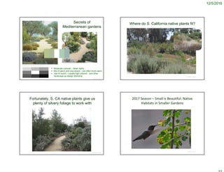 12/5/2016
Secrets of
Mediterranean gardens
© Project SOUND
https://www.pinterest.com/pin/522206519262061613/
https://www.pinterest.com/pin/38632509282381226/
 Moderate contrast – fewer darks
 Mix of warm and cool silvers – but often more warm
 Use of mulch – usually light colored – and other
hardscape as design elements
Where do S. California native plants fit?
© Project SOUND
Fortunately, S. CA native plants give us
plenty of silvery foliage to work with
© Project SOUND
2017 Season – Small is Beautiful: Native 
Habitats in Smaller Gardens
© Project SOUND
 