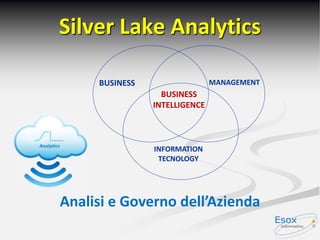 Silver Lake Analytics
Analisi e Governo dell’Azienda
BUSINESS
INTELLIGENCE
INFORMATION
TECNOLOGY
MANAGEMENTBUSINESS
 