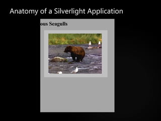 Anatomy of a Silverlight Application Nervous Seagulls 