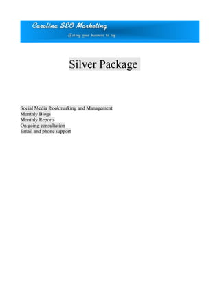 Silver Package
Social Media bookmarking and Management
Monthly Blogs
Monthly Reports
On going consultation
Email and phone support
 