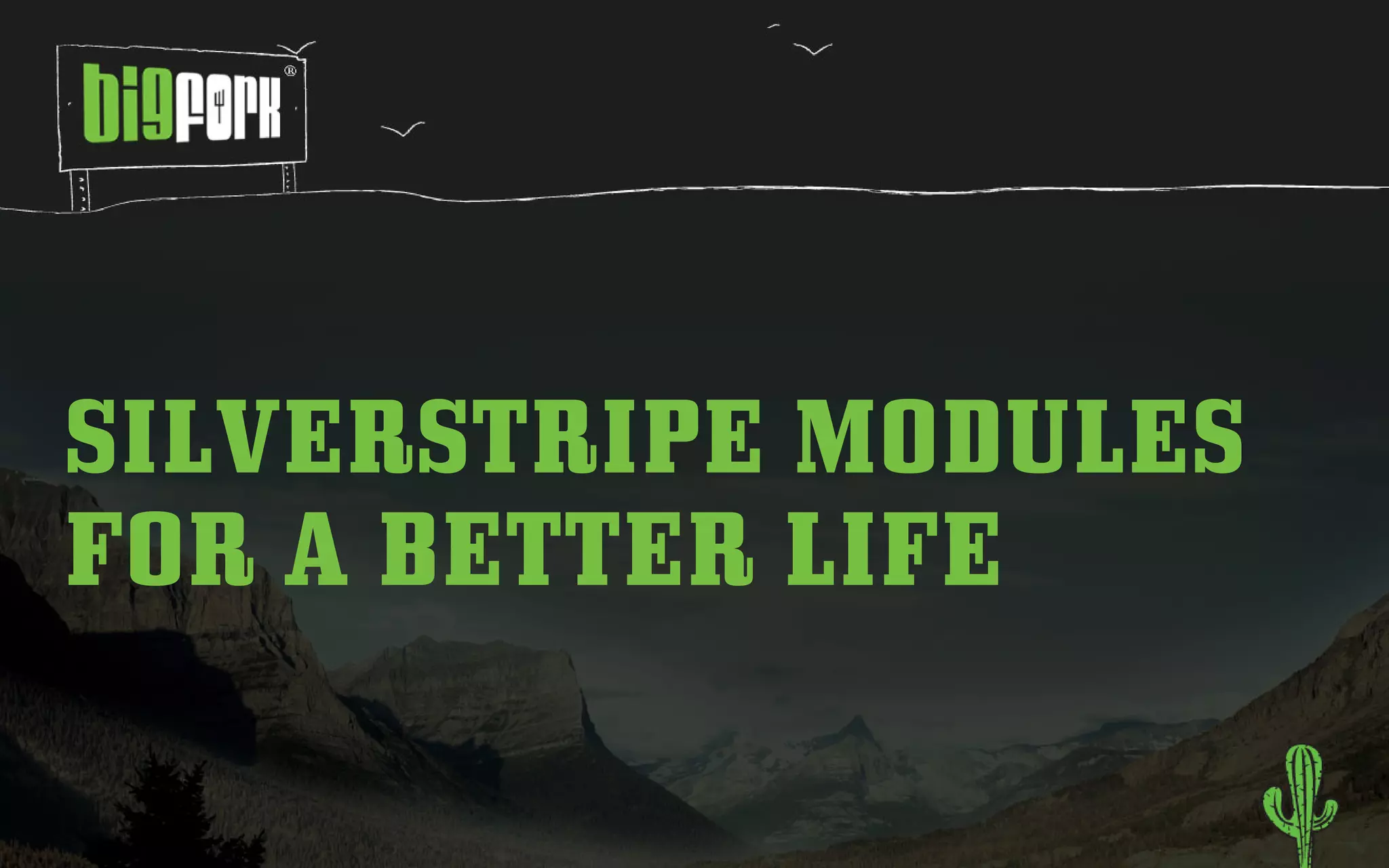 SILVERSTRIPE MODULES
FOR A BETTER LIFE
 